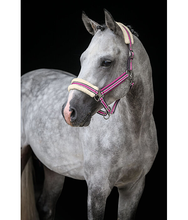Teddy Fleece Headcollar Essential II