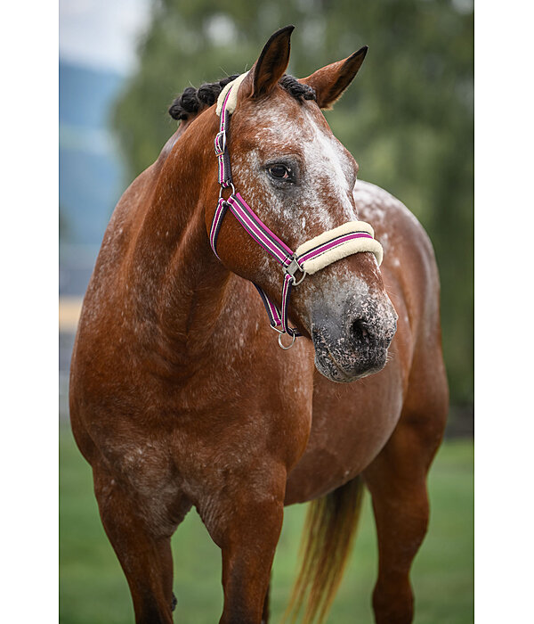 Teddy Fleece Headcollar Essential II