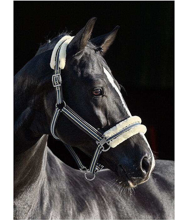 Teddy Fleece Headcollar Essential II