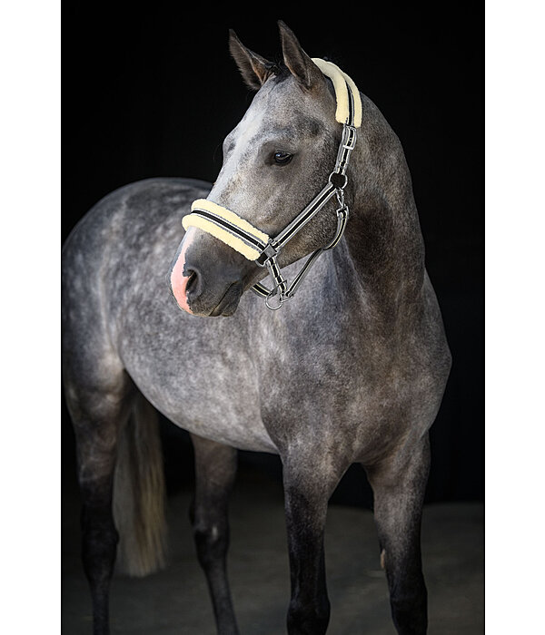 Teddy Fleece Headcollar Essential II