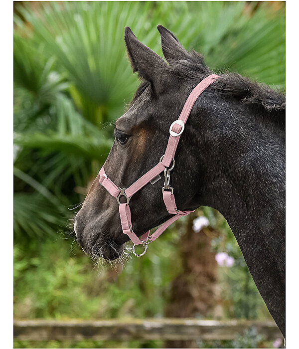 Foal and Shetland Headcollar Grow With You