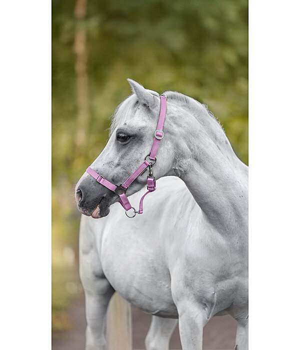 Foal and Shetland Pony Headcollar Grow With You