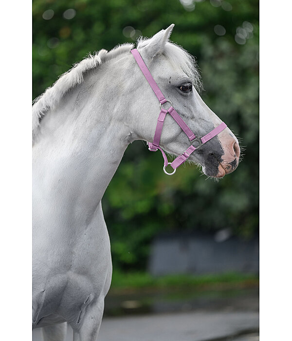 Foal and Shetland Pony Headcollar Grow With You