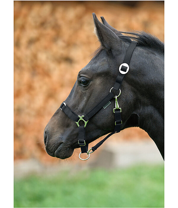 Foal and Shetland Headcollar Grow With You