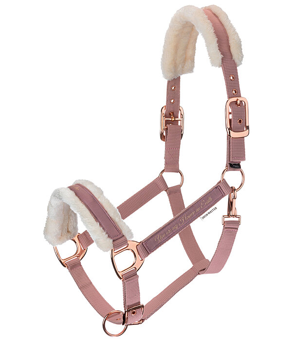 Teddy Fleece Headcollar Better Together