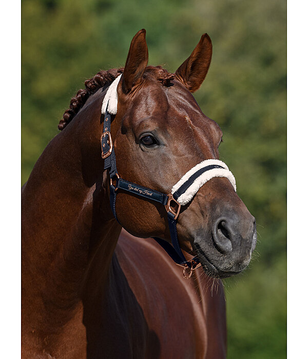 Teddy Fleece Headcollar Better Together