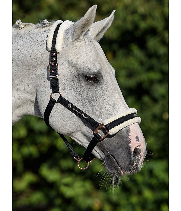 Teddy Fleece Headcollar Better Together