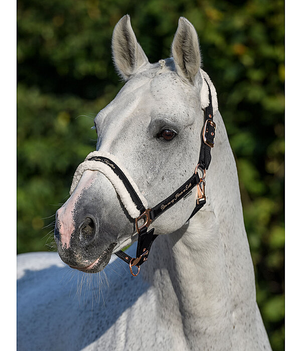 Teddy Fleece Headcollar Better Together