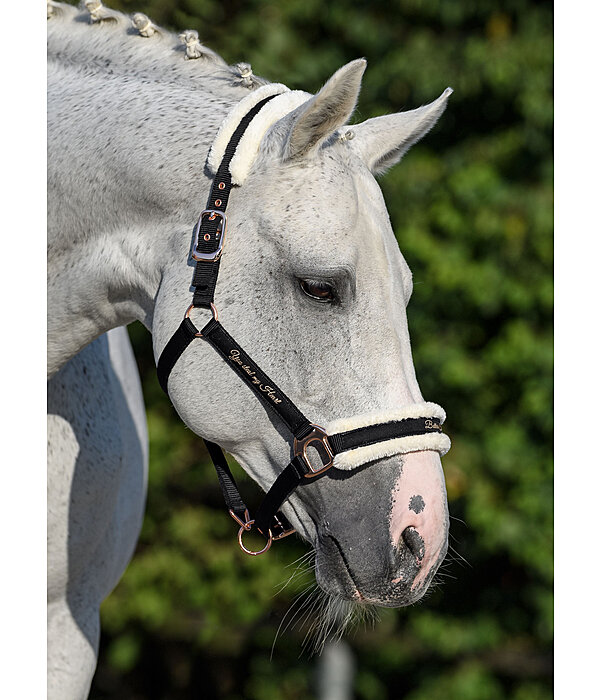 Teddy Fleece Headcollar Better Together