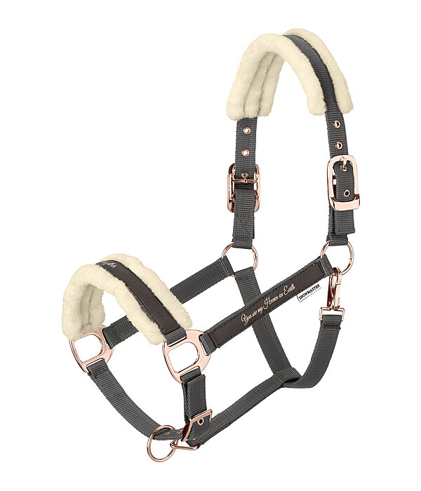 Teddy Fleece Headcollar Better Together
