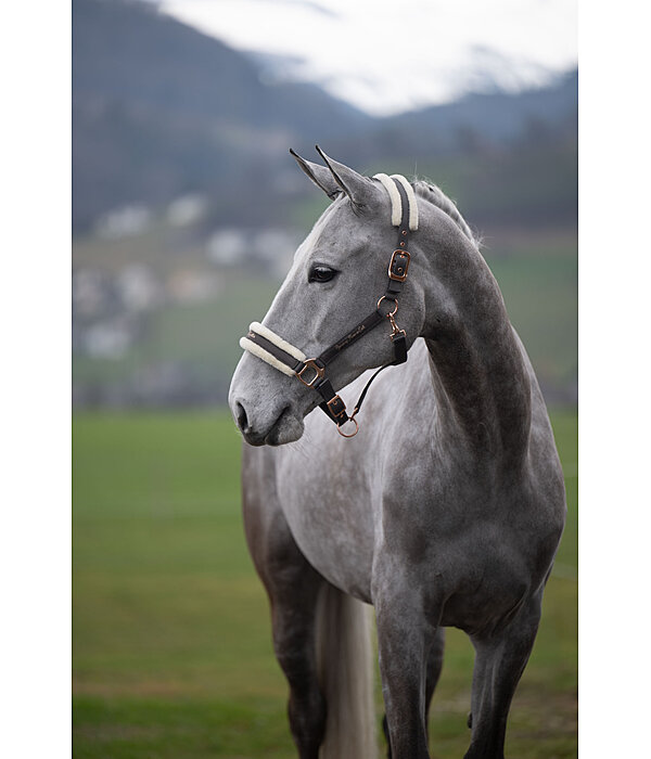 Teddy Fleece Headcollar Better Together
