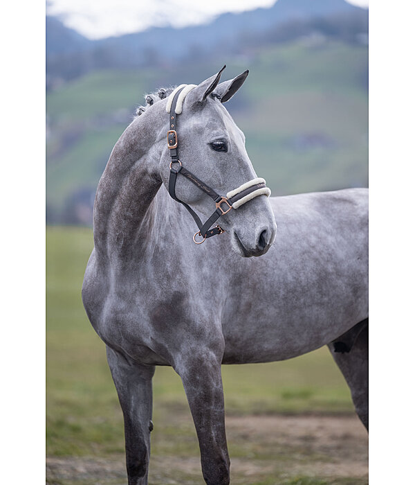 Teddy Fleece Headcollar Better Together