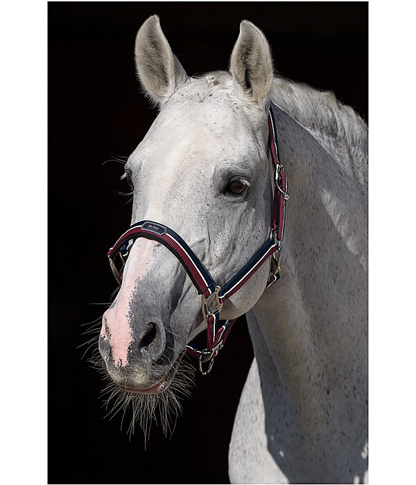 Headcollar Performance II