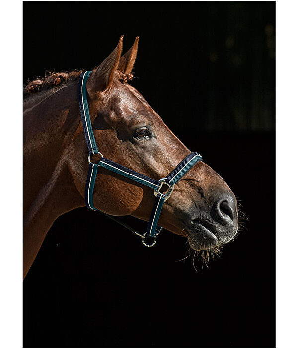 Headcollar Performance II