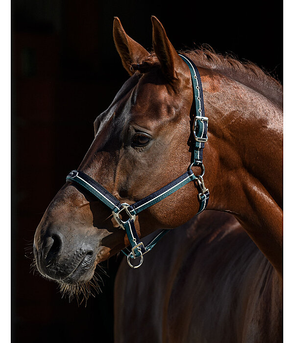 Headcollar Performance II
