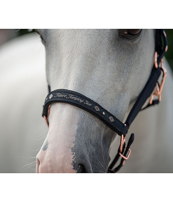 Foal and Shetland Pony Headcollar Future Star