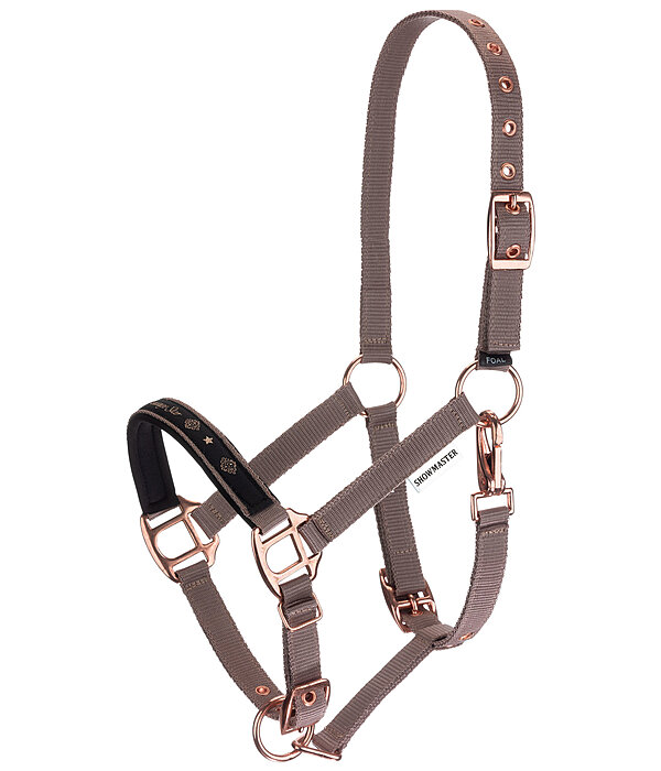 Foal and Shetland Pony Headcollar Future Star