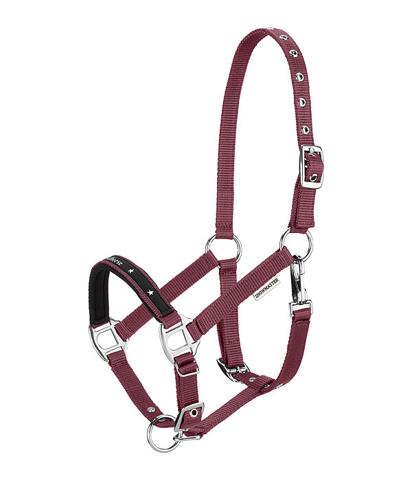 Foal and Shetland Pony Headcollar Future Star