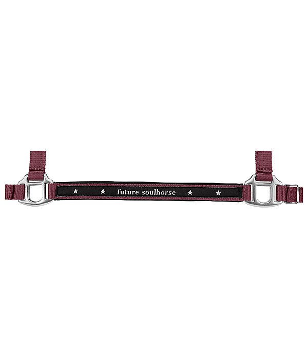 Foal and Shetland Pony Headcollar Future Star