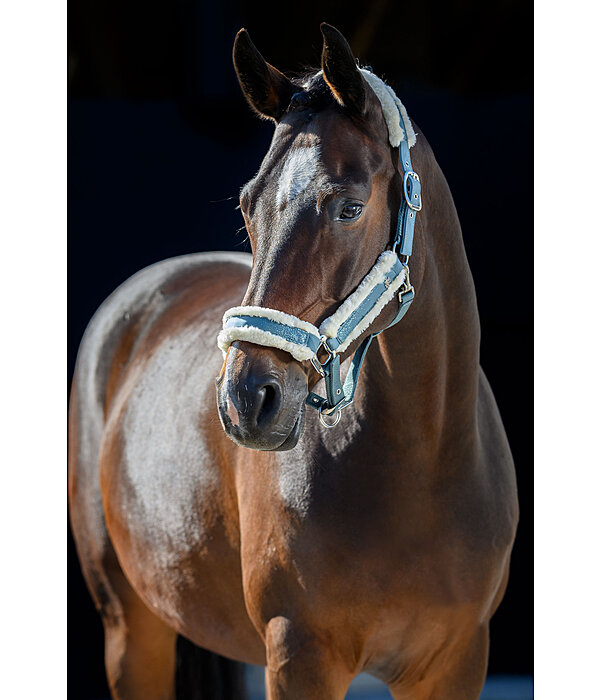 Headcollar Glitter Explosion