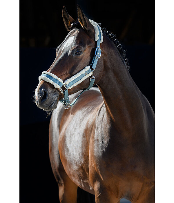 Headcollar Glitter Explosion