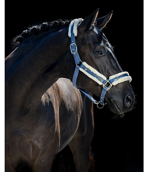 Headcollar Glitter Explosion