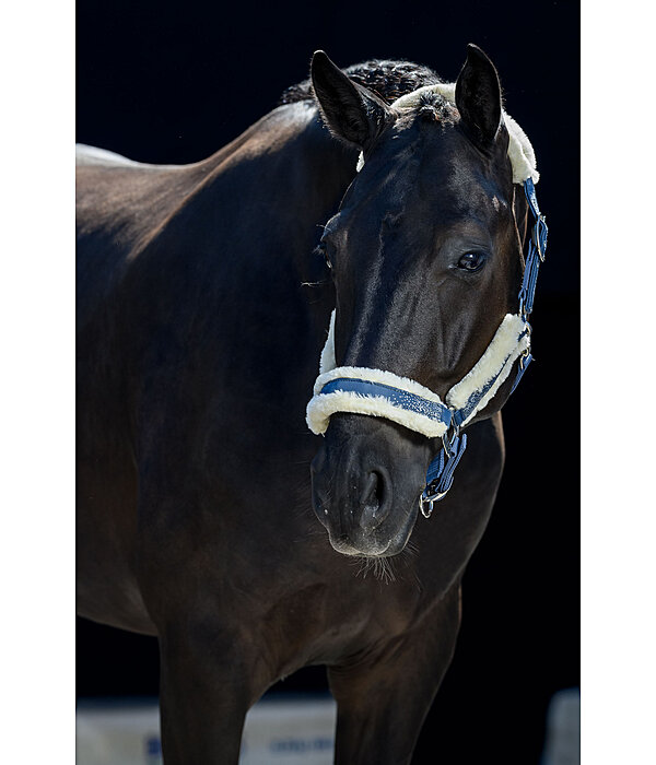 Headcollar Glitter Explosion