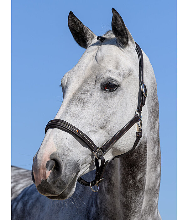 Leather Headcollar Selina with Glitter Stones