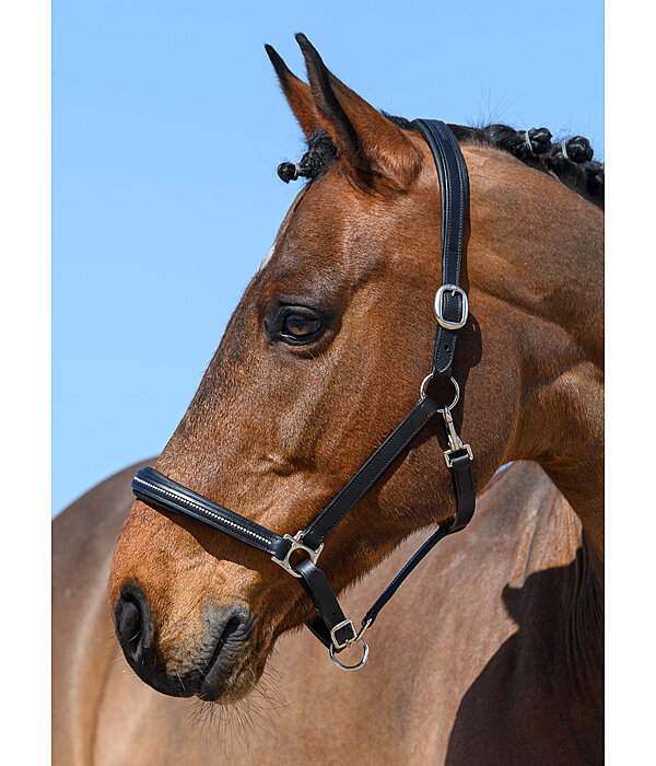 Leather Headcollar Selina with Glitter Stones