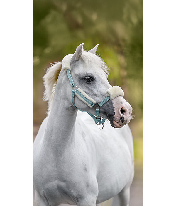 Foal & Shetland Pony Teddy Fleece Headcollar Cozy Adjustable