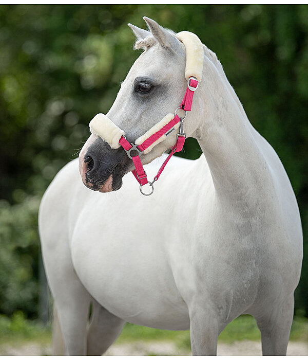 Foal & Shetland Pony Teddy Fleece Headcollar Cozy Adjustable