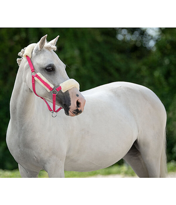 Foal & Shetland Pony Teddy Fleece Headcollar Cozy Adjustable