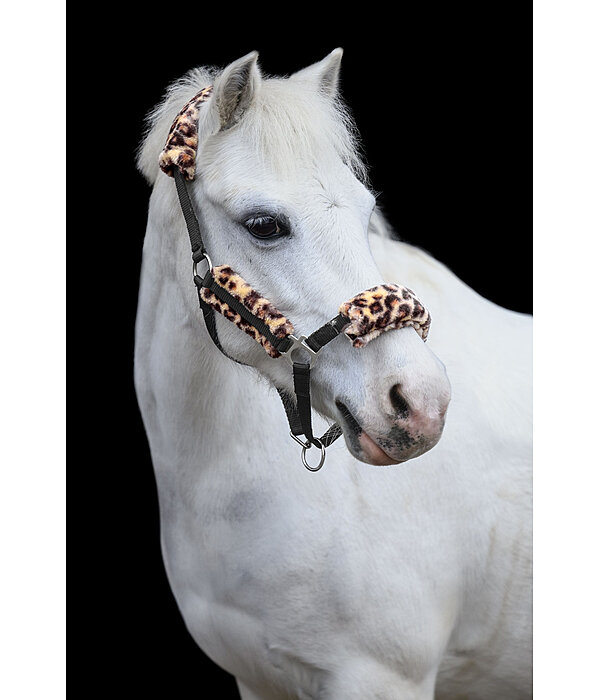 Foal & Shetland Pony Teddy Fleece Headcollar Cozy Adjustable