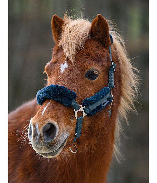 Foal & Shetland Pony Teddy Fleece Headcollar Cozy Adjustable