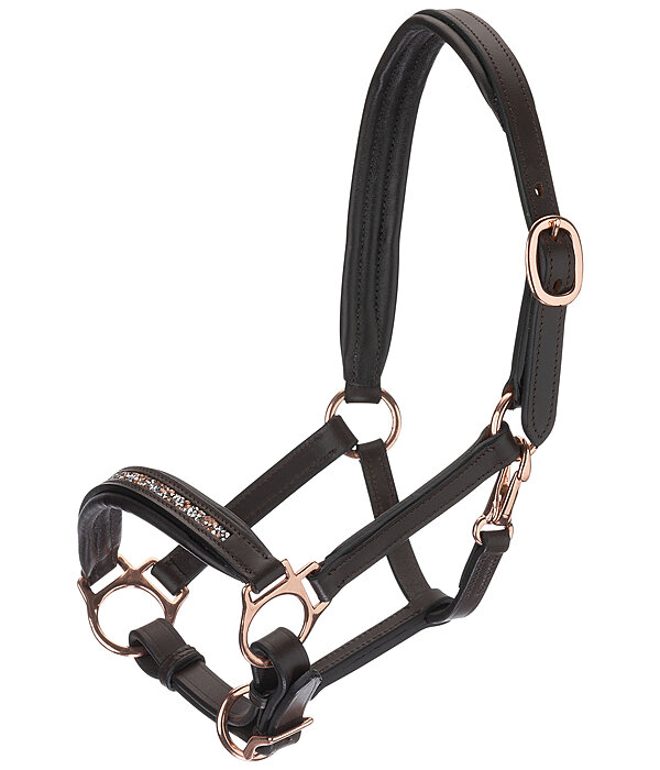 Foal & Shetland Pony Headcollar Little Rosy