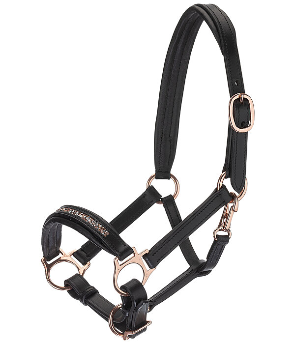 Foal & Shetland Pony Headcollar Little Rosy
