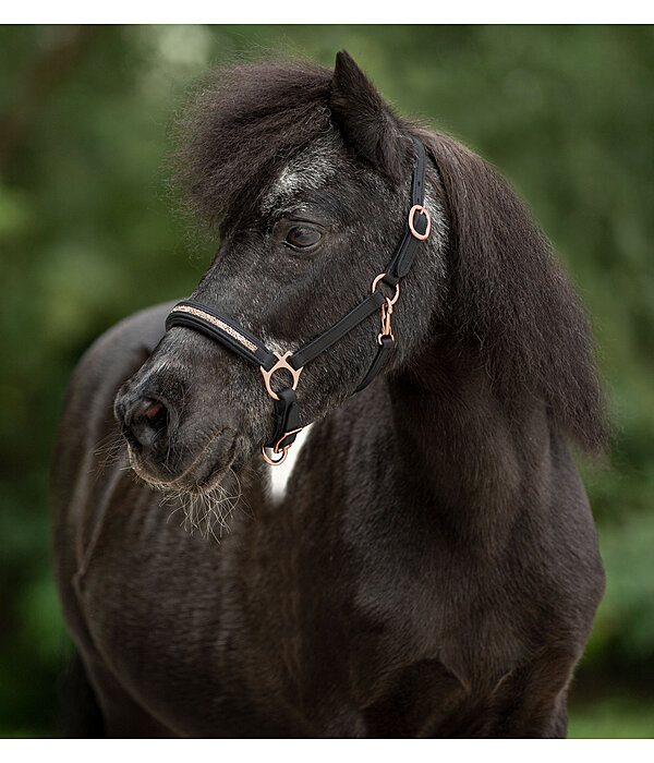 Foal & Shetland Pony Headcollar Little Rosy