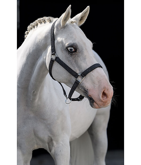 Headcollar Twinkle