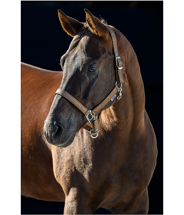 Headcollar Twinkle