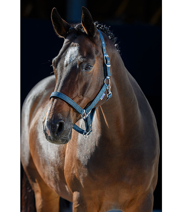 Headcollar Twinkle