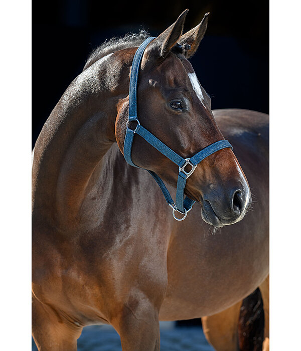 Headcollar Twinkle