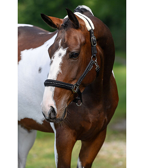 Headcollar Crystal Chain