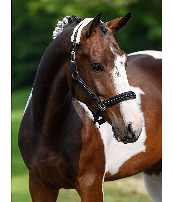 Headcollar Crystal Chain