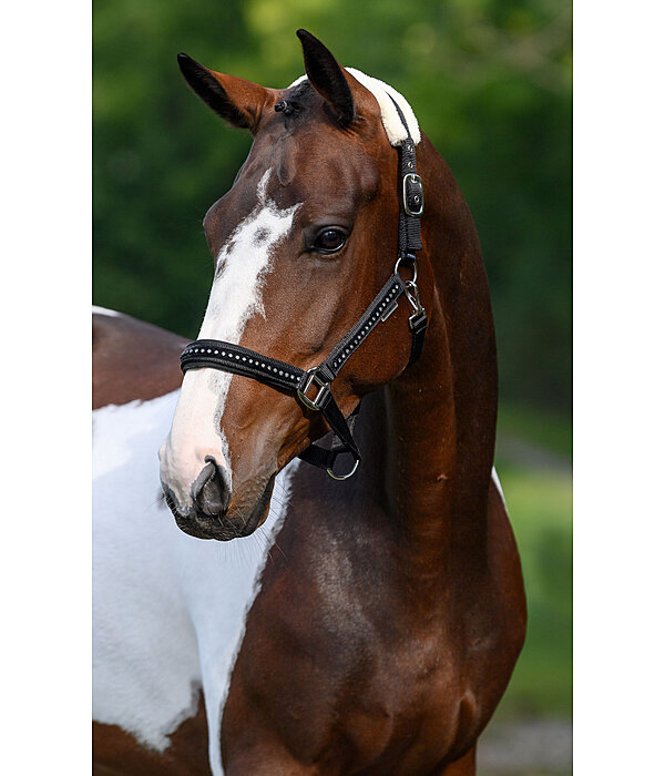 Headcollar Crystal Chain