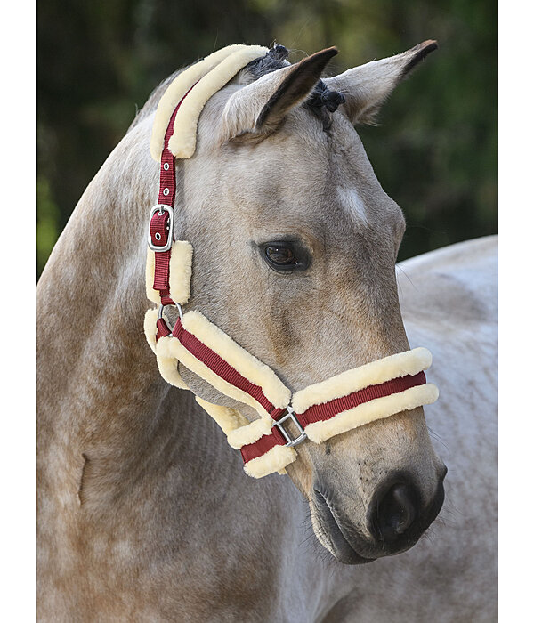 Teddyfleece Headcollar Cuddly