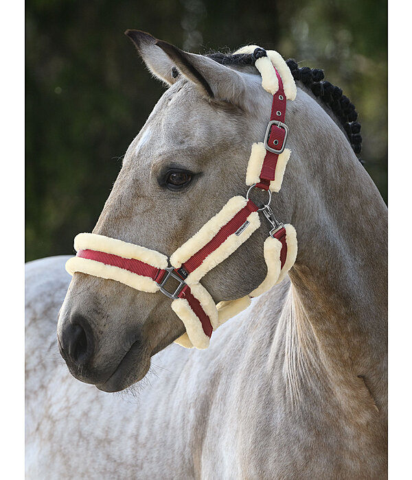 Teddyfleece Headcollar Cuddly