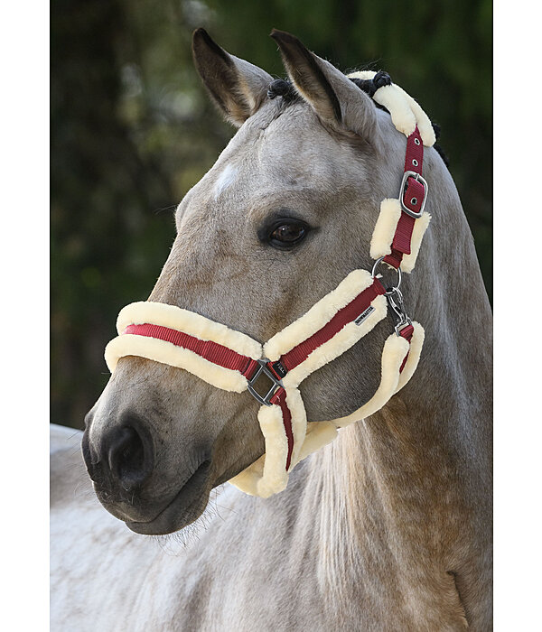 Teddyfleece Headcollar Cuddly