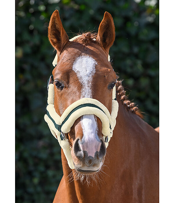 Teddyfleece Headcollar Cuddly