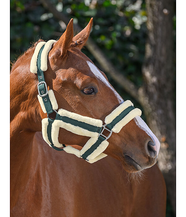 Teddyfleece Headcollar Cuddly