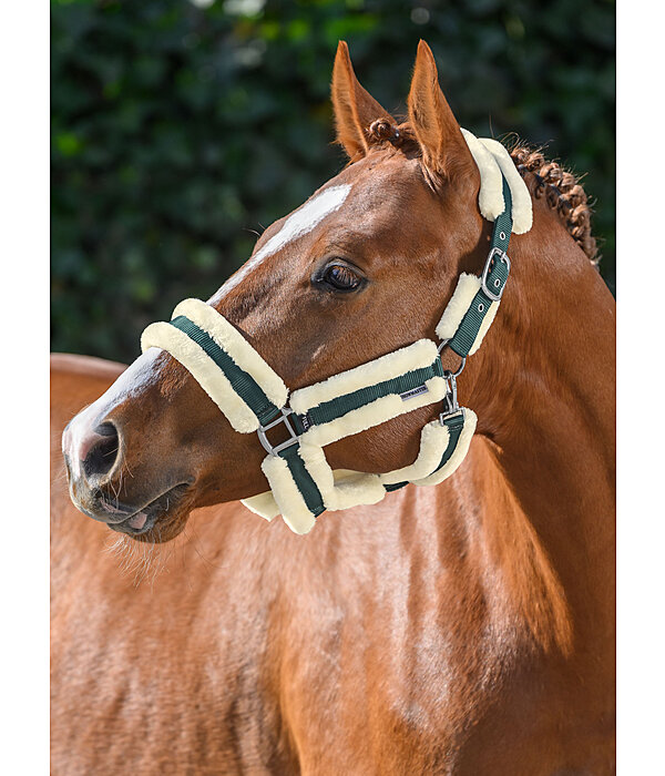 Teddyfleece Headcollar Cuddly